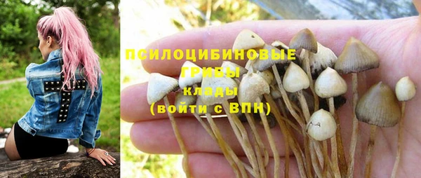 герыч Чегем