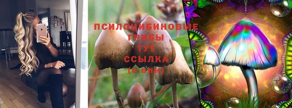 меф Чекалин