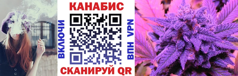 Бошки марихуана гибрид  даркнет сайт  Курчалой 
